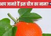 दिखने में अजीब, लेकिन औषधीय गुणों की खदान है यह हरी सब्जी ! शरीर में फूंक देती है नई जान, शुगर के लिए रामबाण