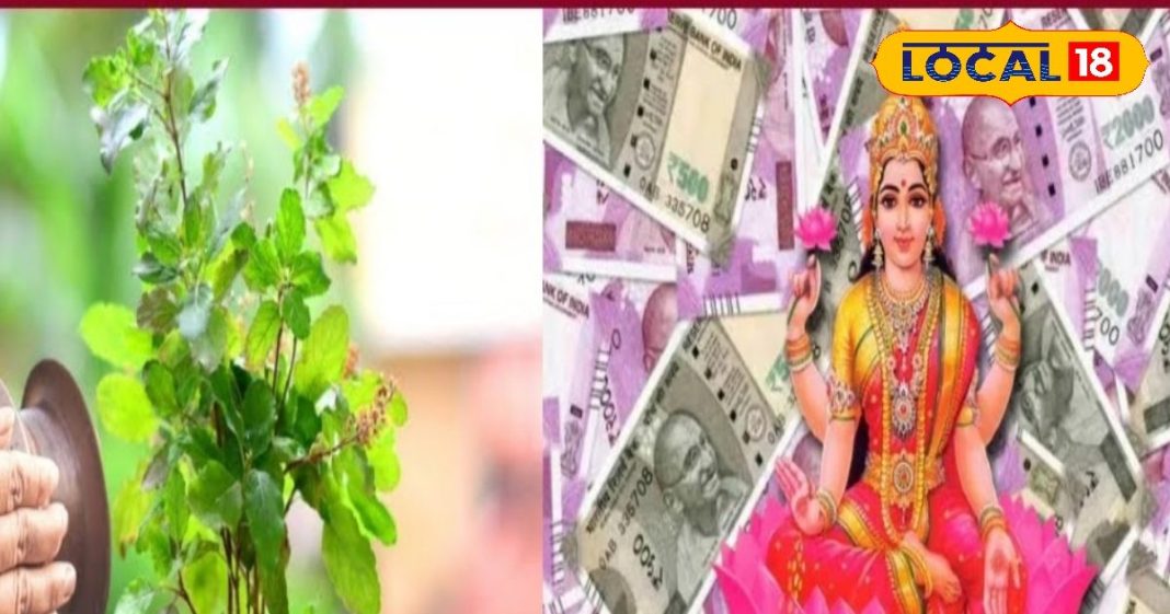 Kharmas 2024 mein kya tulsi puja karni chahiye kya hai niyam Effects and remedies