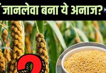 हजार बीमारियों का एक इलाज है ये ‘श्रीअन्न’, पर रोटी खा क्यों अस्पताल पहुंचे 2 परिवार! जानें पूरा माजरा