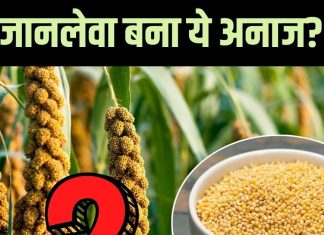 हजार बीमारियों का एक इलाज है ये ‘श्रीअन्न’, पर रोटी खा क्यों अस्पताल पहुंचे 2 परिवार! जानें पूरा माजरा