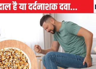 पाइल्स में कराह वाले दर्द की टीस को गायब कर देगी यह दाल, पेट के पूरे सिस्टम पर होगा असर, खास तरह से करना होगा सेवन