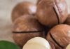 benefits of macadamia nuts for heart skin brain energy sa