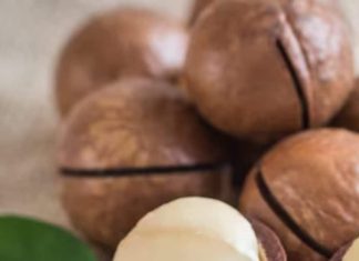 benefits of macadamia nuts for heart skin brain energy sa