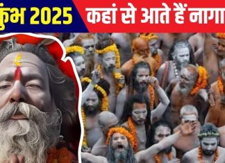 Maha Kumbh 2025: कुंभ में कहां से आते हैं लाखों नागा साधू? मेला समाप्ति पर कहां हो जाते अदृश्य, जानें इनसे जुड़ी बातें