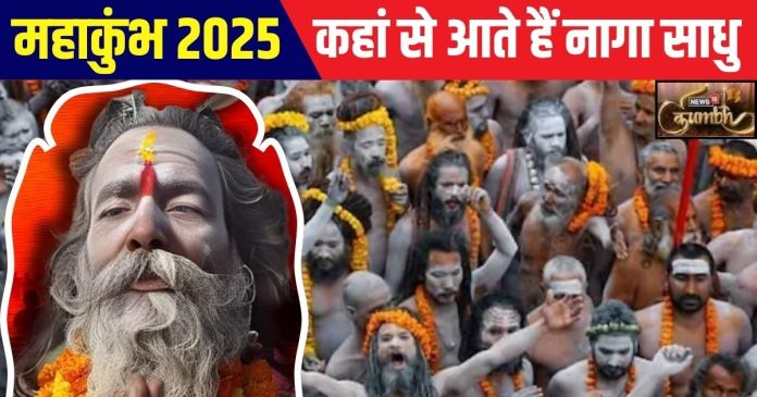 Maha Kumbh 2025: कुंभ में कहां से आते हैं लाखों