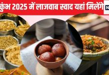 महाकुंभ में ऐसा देहाती रसगुल्ला मिलेगा जिसे आपने शायद ही खाया हो, शिवा चाट भंडार पर लगेगा जमघट, हरीराम नमकीन भी होगा जलवा