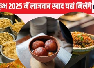 महाकुंभ में ऐसा देहाती रसगुल्ला मिलेगा जिसे आपने शायद ही खाया हो, शिवा चाट भंडार पर लगेगा जमघट, हरीराम नमकीन भी होगा जलवा