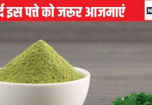 300 से ज्यादा परेशानियों के लिए काल है सिर्फ 1 पत्ता, मर्दों की लुंज-पुंज नसों में दे देता है रॉकेट की रफ्तार, जेट स्पीड में देता है रिजल्ट भी