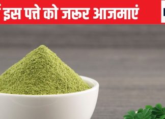 300 से ज्यादा परेशानियों के लिए काल है सिर्फ 1 पत्ता, मर्दों की लुंज-पुंज नसों में दे देता है रॉकेट की रफ्तार, जेट स्पीड में देता है रिजल्ट भी