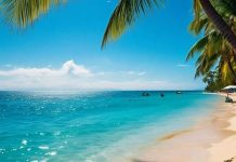 Mini Goa Sonbhadra: यूपी का मिनी गोवा का सबसे सुंदर…देखते ही दीवाने हो जाते हैं लोग, सस्ते में प्लान हो जाएगी ट्रिप