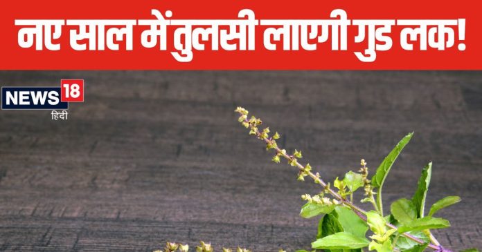 New Year 2025 Vastu Tips: नए साल पर घर की