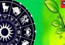 New Year 2025: नववर्ष पर घर लगाएं ये पौधा, किस्मत का मिलने लगेगा साथ, जीवन में आएगी खुशहाली! विस्तार से जानें