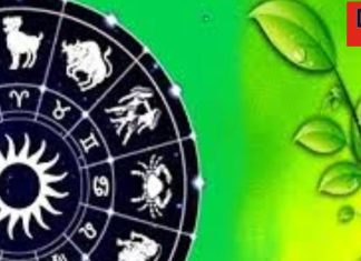 New Year 2025: नववर्ष पर घर लगाएं ये पौधा, किस्मत का मिलने लगेगा साथ, जीवन में आएगी खुशहाली! विस्तार से जानें