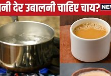 कड़क चाय बनाने के लिए कितनी देर उबालनी चाहिए? जान लें Tea कितने टेम्परेचर में करनी चाहिए सर्व, नहीं जलेगा मुंह