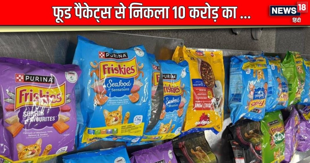 Airport: फॉरेन से अंकल लाए थे ‘टेस्टी’ फूड, पैकेट के अंदर से निकला 10 करोड़ का… देखते ही उड़ गए सबके होश