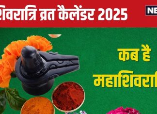 Shivratri 2025 Dates: नए साल में कब-कब है शिवरात्रि व्रत? यहां देखें नववर्ष 2025 का शिवरात्रि कैलेंडर