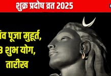 Shukra Pradosh Vrat 2024 Date: कब है शुक्र प्रदोष व्रत? शिव पूजा के लिए मिलेगा 2.14 घंटे का शुभ समय, देखें मुहूर्त, योग