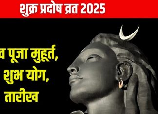 Shukra Pradosh Vrat 2024 Date: कब है शुक्र प्रदोष व्रत? शिव पूजा के लिए मिलेगा 2.14 घंटे का शुभ समय, देखें मुहूर्त, योग