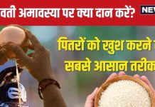 Somvati Amavasya 2024 Daan: सोमवती अमावस्या पर दान करें ये 5 वस्तुएं, शिव कृपा से मिलेगा सौभाग्य, नाराज पितर भी हो जाएंगे खुश!