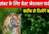 इंडिया के टॉप 7 नेशनल पार्क, जहां दिसंबर में दिखते हैं Tigers, फैमिली संग घूमने के लिए परफेक्ट हैं ये डेस्टिनेशंस