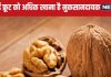 क्या आप खाते हैं मुट्ठी भरकर ये ड्राई फ्रूट? होंगे 6 बड़े नुकसान, किडनी में बनेगा स्टोन, खून पतला करने वाली दवा होगी बेअसर