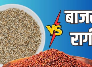 बाजरा और रागी के आटे में कैसे करें अंतर? जानें पैकेट खुलने के बाद, कितने दिन तक कर सकते हैं इस्तेमाल