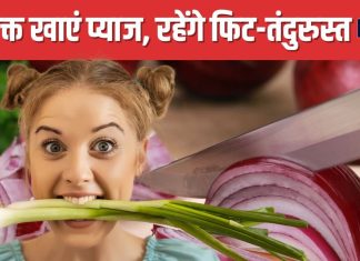 प्याज खाने का क्या है बेस्ट टाइम? अधिकतर लोग कर बैठते हैं गलती, इस समय खाएंगे तो मिलेंगे हजारों फायदे !