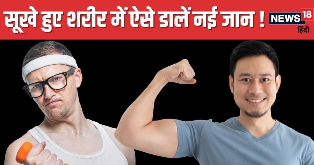 शरीर सूखकर हो गया है कांटा, आज ही इन 5 फूड्स का शुरू करें सेवन, तेजी से बढ़ेगा वजन, आएगी नई ताकत