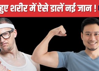 शरीर सूखकर हो गया है कांटा, आज ही इन 5 फूड्स का शुरू करें सेवन, तेजी से बढ़ेगा वजन, आएगी नई ताकत