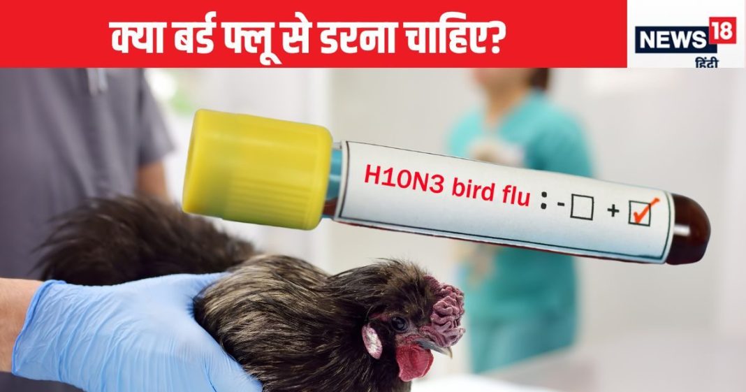 क्या बर्ड फ्लू का खतरा इंसानों पर मंडराने लगा है? कितनी चिंता की है बात, डब्ल्यूएचओ ने बताया…