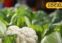 खा रहे ये हरी सब्जी, इनके मामलों में चिकन से भी ताकतवर,लेकिन ये लोग रहे सावधान