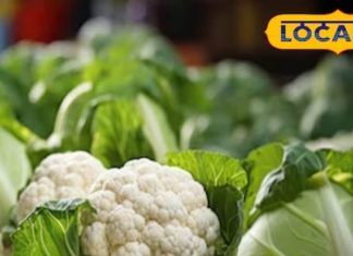 खा रहे ये हरी सब्जी, इनके मामलों में चिकन से भी ताकतवर,लेकिन ये लोग रहे सावधान