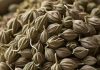 health benefits of ajwain for digestion and skin care acidity treatment sa