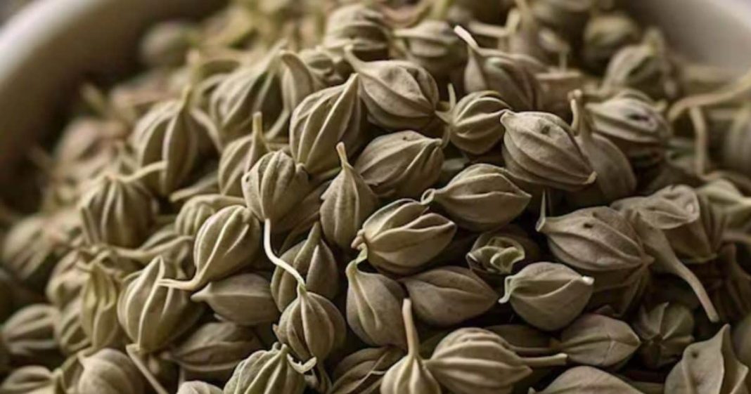 health benefits of ajwain for digestion and skin care acidity treatment sa