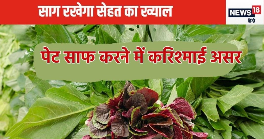 सर्दियों का शहंशाह है यह साग, पोषक तत्वों का पावरहाउस, दिसंबर भर खाएंगे तो शरीर में भर जाएगा खून, थोड़े में पूरी दुनिया