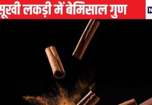 इस लकड़ी की छाल शरीर के हर तरह की चर्बी में घुसकर करती है वार, चाहे कोलेस्ट्रॉल हो या शुगर सबका हो सकता है अंत