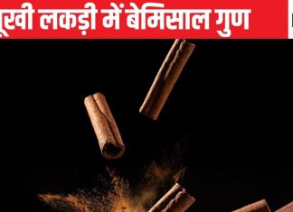 इस लकड़ी की छाल शरीर के हर तरह की चर्बी में घुसकर करती है वार, चाहे कोलेस्ट्रॉल हो या शुगर सबका हो सकता है अंत