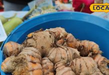 अदरक के जैसे दिखने वाली यह हल्दी है कमाल, इसके सेवन से दूर हो जाएंगी शरीर की कई बीमारियां – Bharat.one हिंदी