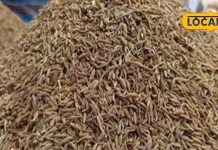 Jeera Water Benefits for digestion skin health and sleep improvement sa