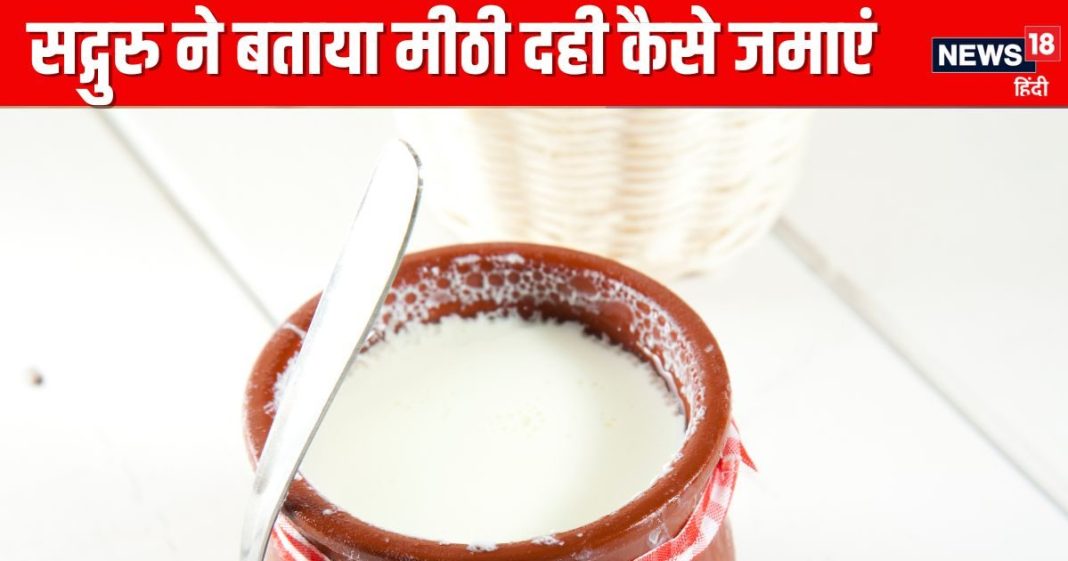 गर्मी में 4-5 घंटे तो सर्दियों में कब और कितनी देर जमाएं दही? सद्गुरू ने बताया Curd जमाने का आसान तरीका, खूब लगेगा मीठा