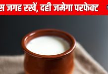 किचन में इस जगह छिपाकर रख दें दही जमाने वाला कटोरा, सुबह मिलेगा परफेक्ट Curd, बेहद कमाल का है ये हैक