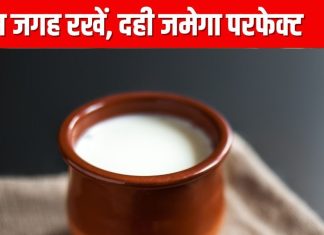 किचन में इस जगह छिपाकर रख दें दही जमाने वाला कटोरा, सुबह मिलेगा परफेक्ट Curd, बेहद कमाल का है ये हैक