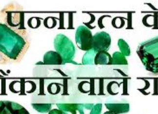 Emerald Gemstone: इस खूबसूरत रत्न को पहनने से गुर्दा और हृदय रोगों से मिलती है मुक्ति, बढ़ता है व्यापार, यहां जानें