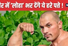 सिर्फ 3 महीने ही मिलते हैं ये हरे पत्ते, इनमें छिपी आयरन की पूरी फैक्ट्री ! यौन शक्ति बढ़ाने में भी असरदार