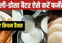 गुब्बारे सा फूलेगा इडली-डोसा बैटर, फर्मेंटेशन के लिए ट्राई करें ये हैक्स, विंटर में भी मिलेगा परफेक्ट स्वाद