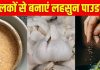 कचरा समझकर फेंक देते हैं लहसुन के छिलके? इनसे बनाएं होममेड गार्लिक पाउडर, फ्री में पाएं बाजार जैसा फ्लेवरफुल सीजनिंग