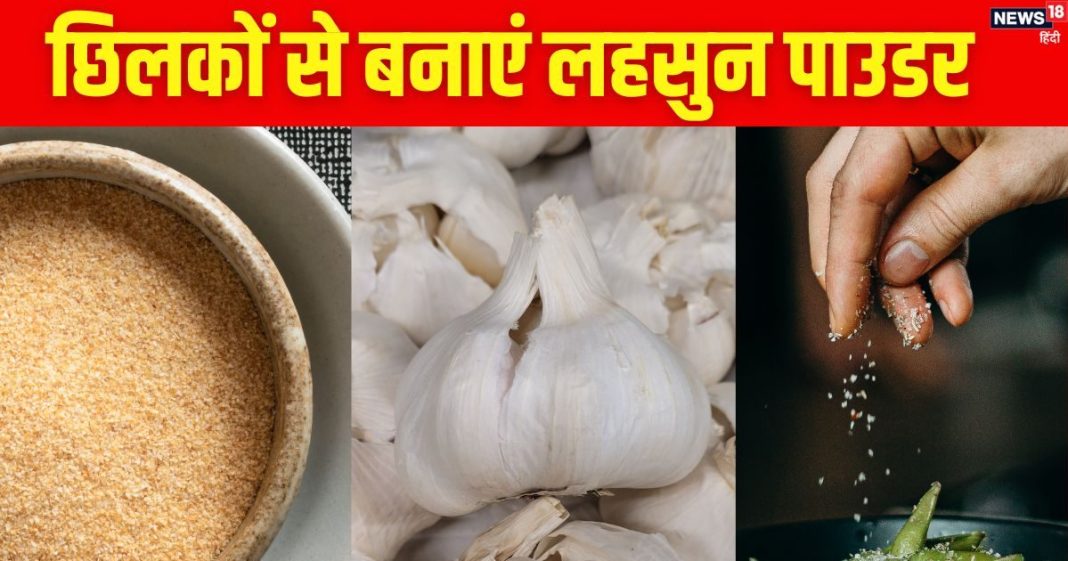 कचरा समझकर फेंक देते हैं लहसुन के छिलके? इनसे बनाएं होममेड गार्लिक पाउडर, फ्री में पाएं बाजार जैसा फ्लेवरफुल सीजनिंग