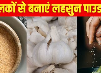 рдХрдЪрд░рд╛ рд╕рдордЭрдХрд░ рдлреЗрдВрдХ рджреЗрддреЗ рд╣реИрдВ рд▓рд╣рд╕реБрди рдХреЗ рдЫрд┐рд▓рдХреЗ? рдЗрдирд╕реЗ рдмрдирд╛рдПрдВ рд╣реЛрдордореЗрдб рдЧрд╛рд░реНрд▓рд┐рдХ рдкрд╛рдЙрдбрд░, рдлреНрд░реА рдореЗрдВ рдкрд╛рдПрдВ рдмрд╛рдЬрд╛рд░ рдЬреИрд╕рд╛ рдлреНрд▓реЗрд╡рд░рдлреБрд▓ рд╕реАрдЬрдирд┐рдВрдЧ