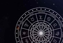 gemini zodiac 2025 prediction career relationship health mithun rashi sa