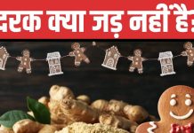 Christmas 2024: क्रिसमस और अदरक का क्यों है गहरा नाता? इसकी होती थी तस्करी, मसाला नहीं, कभी दवा हुआ करता था ये
